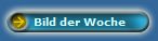 Bild der Woche