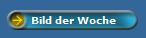 Bild der Woche