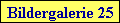 Bildergalerie 25